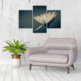 Tablou cu flori (90x60 cm)