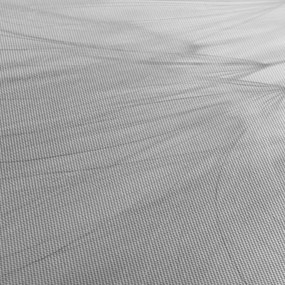 Tablou - Dandelion (150x105 cm)