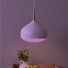 Eglo 97087 - Lampă suspendată LED RGBW dimabilă COMBA-C LED/18W/230V