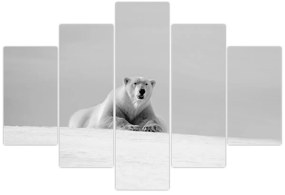 Tablou - Ursul polar (150x105 cm)