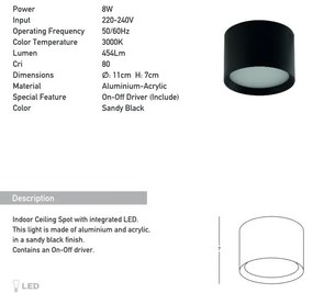 Spot LED aplicat tavan Lyss negru