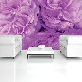 Fototapet - Flori (152,5x104 cm)