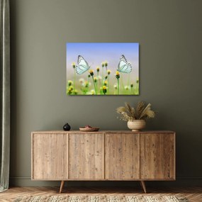 Tablou pe sticlă cu fluture pe floare (70x50 cm)