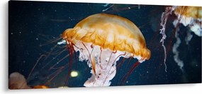 Tablou - Medusa (120x50 cm)
