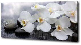 Print pe pânză Orhidee