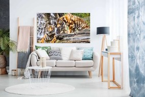 Tablou canvas tigru - 40x30 cm