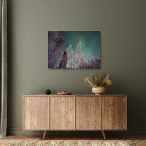 Tablou pe sticlă cu aurora borealis deasupra pomilor înghețați (70x50 cm)