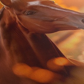 Tablou - Cal în apus de soare (120x50 cm)