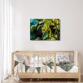 Tablou pe sticlă cu cameleon (70x50 cm)