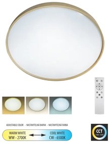 Plafonieră LED dimabilă DRINA LED/36W/230V 2700-6500K + telecomandă