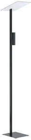 Eglo 99113 - Lampadar LED BUDEMSEA 2xGU10/5W/230V