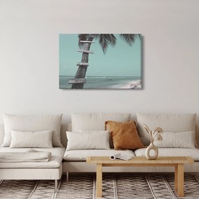 Tablou - Palma în Caraibe (90x60 cm)