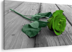 Tablou - Trandafir verde (90x60 cm)