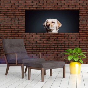 Tablou cu labrador (120x50 cm)