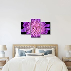 Tablou detailat cu floare (90x60 cm)