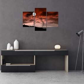 Tablou - Luna luminează noaptea (90x60 cm)