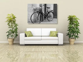 Tablou bicicletă rustică în design alb-negru