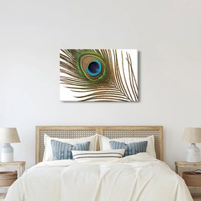 Tablou cu pene de păun (90x60 cm)