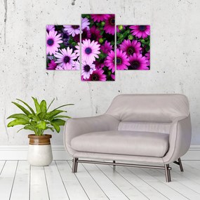 Tablou - Flori (90x60 cm)