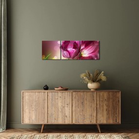 Tablou cu lalele roz (cu ceas) (90x30 cm)
