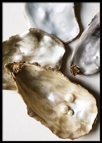 Poster oyster shells
