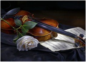 Tablou - Trandafiri și vioară (70x50 cm)