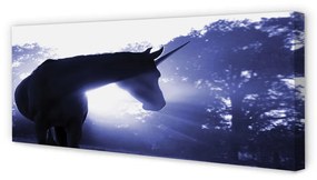 Tablouri canvas unicorn de pădure