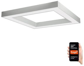 Immax NEO 07240L - Plafonieră LED dimabilă CANTO LED/60W/230V Tuya albă