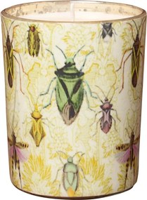Lumanare parfumata "Bugs"