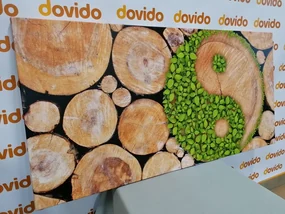 Tablou Yin și Yang într-un design ecologic