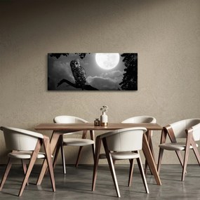 Tablou - Bufniță de noapte, alb și negru (120x50 cm)