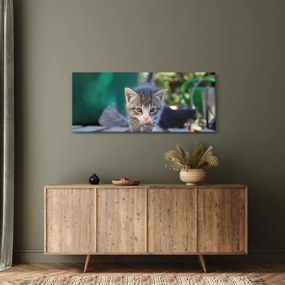 Tablou cu pisicuțe (120x50 cm)