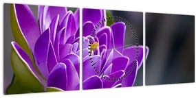 Tablou floarei (cu ceas) (90x30 cm)