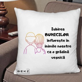 Cadou pentru Bunici - Perna Personalizata Iubirea Bunicilor Infloreste Cuplu Line Art Gradient, 40x40 cm, Alb Pufos, Husa Detasabila, Perna Inclusa, BEKZ®