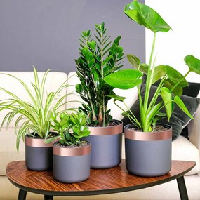 vidaXL Bandă din cupru 6 pcs Cupru 2000 x 5 cm Cupru