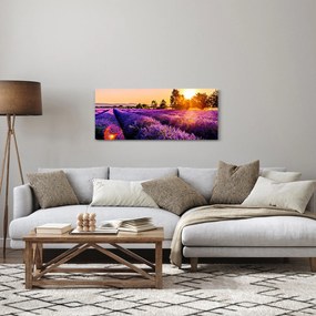 Tablou cu câmp de lavandă (120x50 cm)