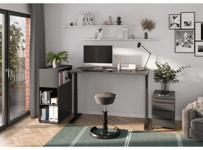 Birou cu înălțime ajustabilă 80x160 cm Mailand – Germania