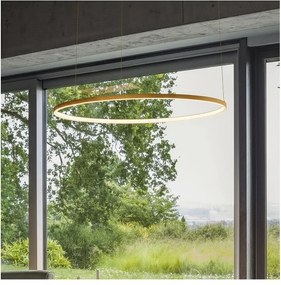 Ideal Lux - Lustru LED pe cablu ORACLE SLIM LED/37W/230V CRI 90 Ø 70 cm auriu