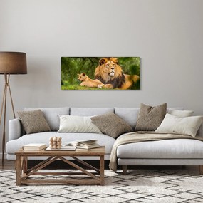 Tablou cu lei (120x50 cm)