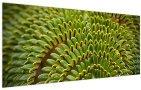 Tablou - Fern (120x50 cm)