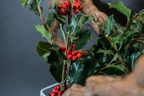 Aranjament floral mediu design LUX ETERNITY PUNGITOPO