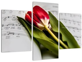 Tablou - Lalea roșie (90x60 cm)