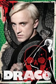 Poster Harry Potter - Draco, (61 x 91.5 cm)