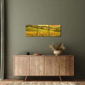 Tablou - Câmp de floarea-soarelui (cu ceas) (90x30 cm)