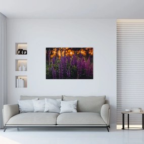 Tablou - Flori de lupin (90x60 cm)