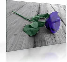 Tablou pe sticlă - Trandafir albastru cu tulpina verde (70x50 cm)
