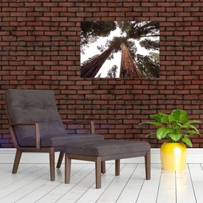 Tablou - Privire prin vârfurile copacilor (70x50 cm)