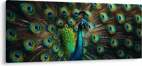 Tablou – Păun (120x50 cm)