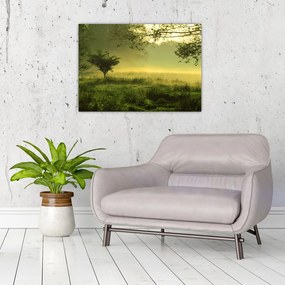 Tablou pe sticlă - Pădurea trezită (70x50 cm)