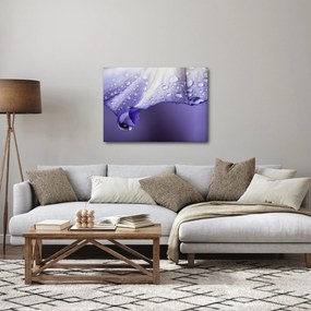 Tablou - Petală cu picături (70x50 cm)